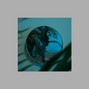 Empty Organics - Dive