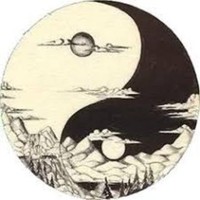 Finess3