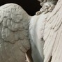 orenswrldd - angelos