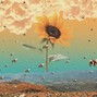 Krio - plane ride