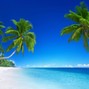 nvgulyayev - tropical ahh beat