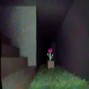 seba rz10:9 - flower [ambient]