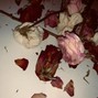 seba rz10:9 - natural [ambient]