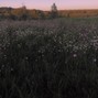 seba rz10:9 - where are you? [ambient, piano]