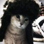 i'mgku - for a beatt in the personal account