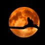 Moon Mafia Beats  - Lunar Cycle
