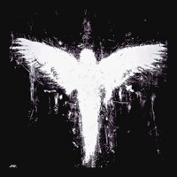 twinrugxr