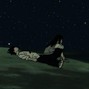 Hakxshi - SOCIAL LIFE
