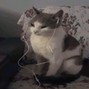 Hakxshi - JUST A BOY