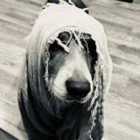 marti