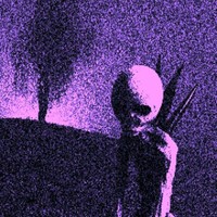 vulk