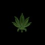 ShomaDaGod - Gorilla glue