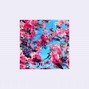 SpoonBeats - Chill Lofi Beat / Hip Hop Beat Instrumental / ''Ebrio''