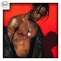 Psychix - BIRDS | TRAVIS SCOTT TYPE BEAT