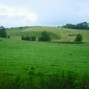 nubiol - Park