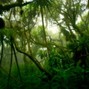 Sentio Beatz - Wild adventure (storytelling guitar beat)