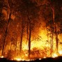 Sentio Beatz - Burning forest (hard trap beat)