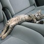 pitsearches - wro