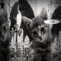 1xansays611 - superstar