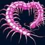 ERLAX - HOT PINK