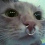 brayanhg360 - HARDCORE LOVE </33