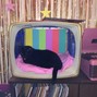 feezo - Cruise