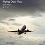 Will Why? & O.K! - Flying Over You