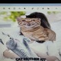 yrsci - @yyrsci (っ- ‸ - ς) catmother kit~ ❷➅ ~