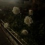 2exe - 1oneam + che + osamason type beat - one melody
