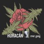 Rose Gang Beats - RG - Huracán