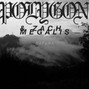 Polygon - Toadstool