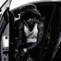 MUZZY - Future x Southside Type Beat 2026 - "HELLCAT" | Hard Aggressive Trap 