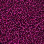 exayvier - pink leopard (E maj 140bpm)