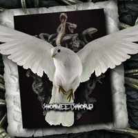 shonmeetsworld