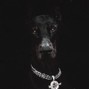 bgf.gx - "MoneyMan" Lil Baby x Migos x Ybn Nahmir