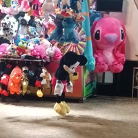 ihatehammy