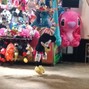 ihatehammy - 480p