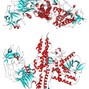 808MXTC - BOTULINUM TOXIN