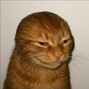 dawgbrane - experimental instrumental beat