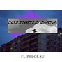 flipflop - corrupted data