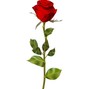 Maze Music - Roses
