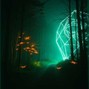 Fabio R. - Fireflies in the Dark