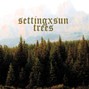 settingxsun - trees