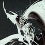Axis Pheres - Echo Folds