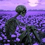 SMOKEY - ORCHIDEA