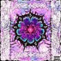 wxiteeee - PANDORA
