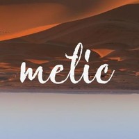 Metic