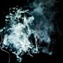 --------- - PLANT (Cminor)       (Prod.Shlimdigga x ZAK)