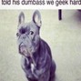 ricodro - geek hard: fine shyt