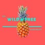 Haseobeats - Wild & Free